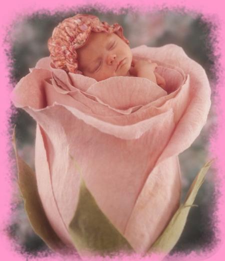 B&eacute;b&eacute;002