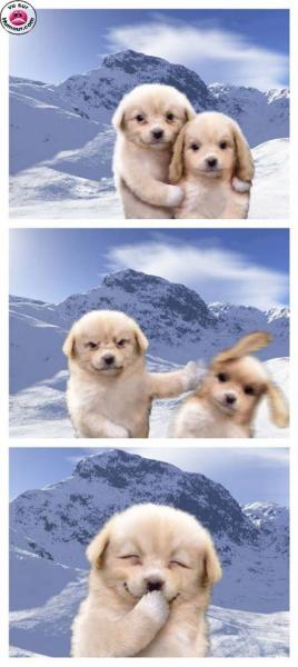 Oups!